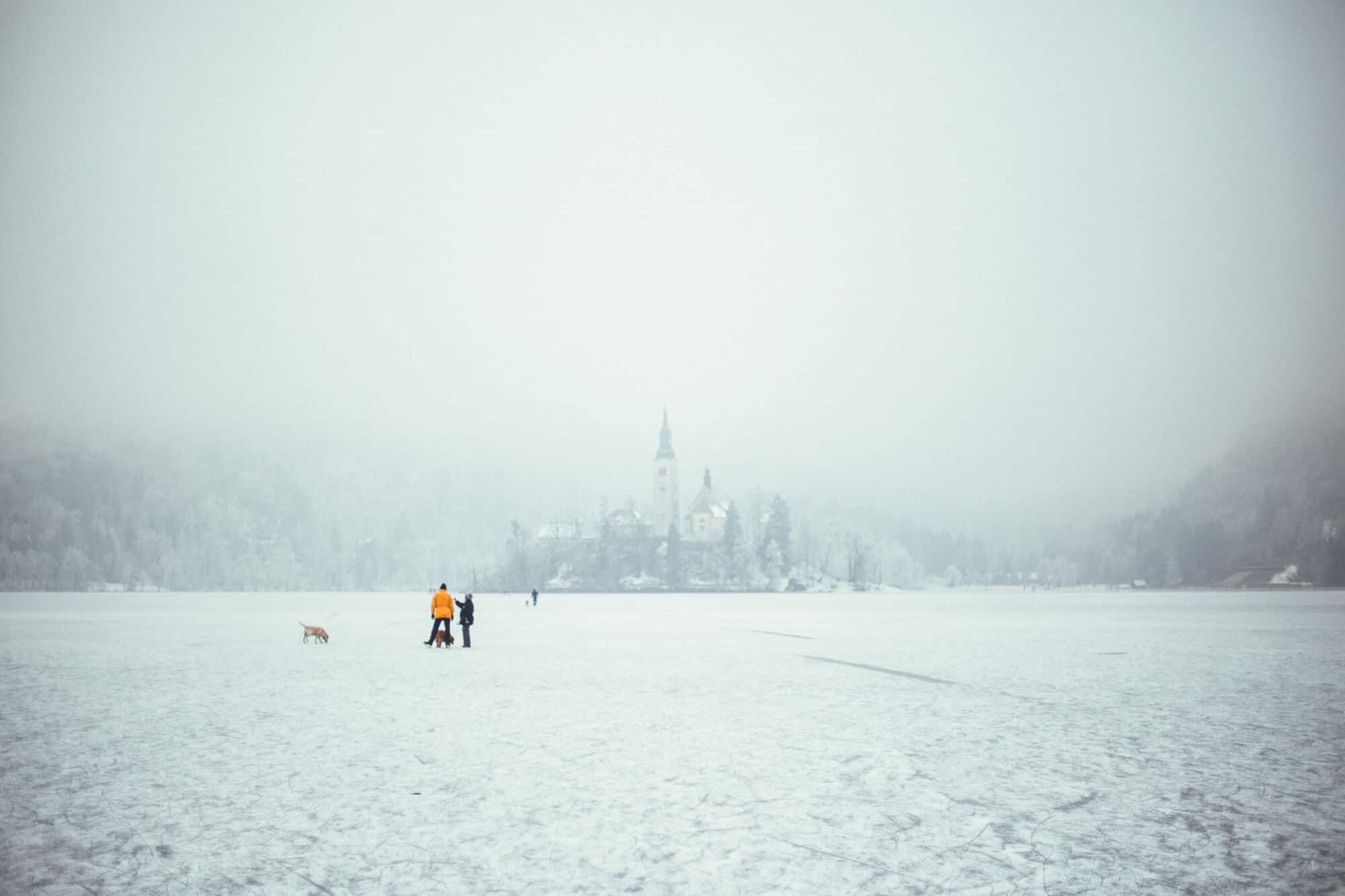 Lake Bled Elopement Love and Ventures 22 | Croatia Elopement Photographer and Videographer