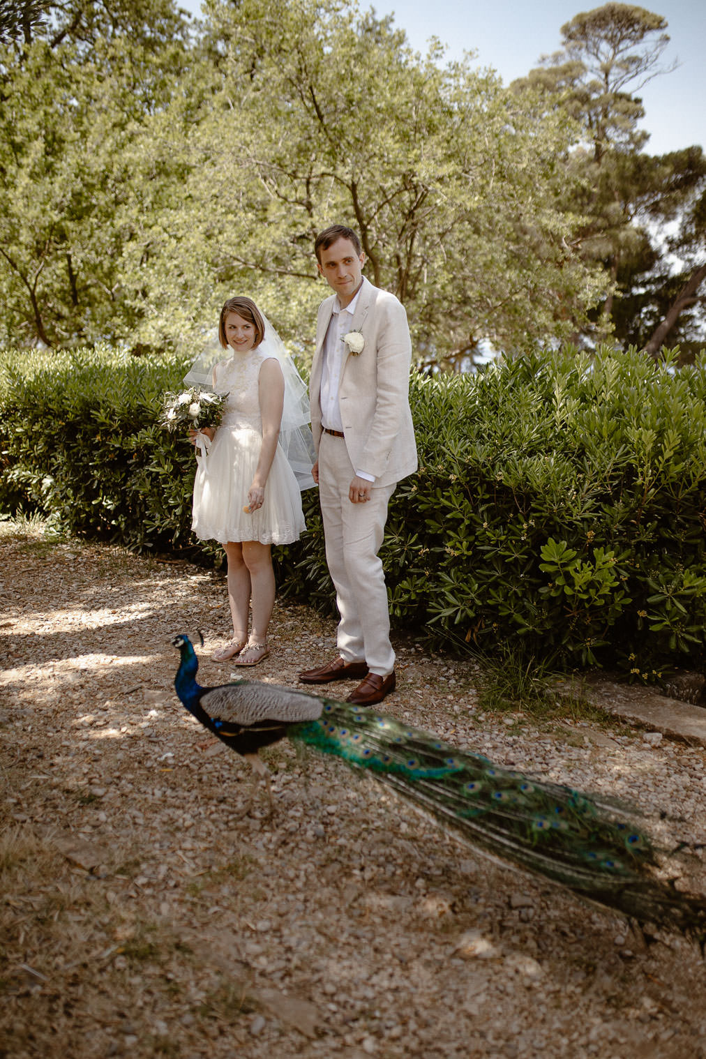 Istria elopement wedding brijuni 201 | Croatia Elopement Photographer and Videographer